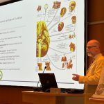 whatsapp image 2026 04 04 at 14.06.19a